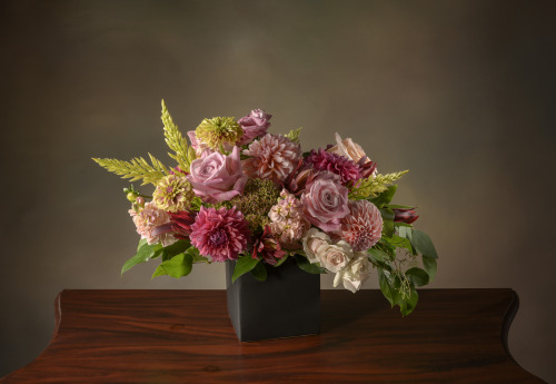 eloquence-of-the-light