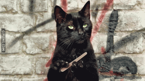 tumblr_mmxofw8xGo1sqpqpuo1_500.gif