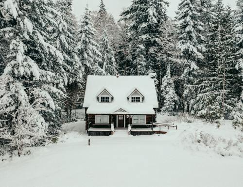 expressions-of-nature