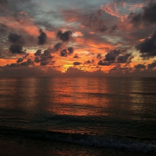 The beauty of the sunset