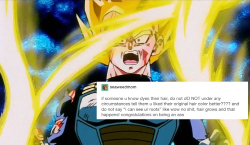 supersaiyantist:Screenshot by mysticaladventurer