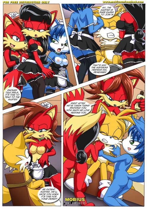 Sonic Furry Bomb