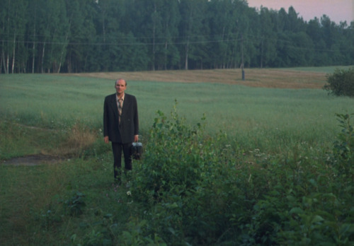 alexalleshater:Mirror (1974) - by Andrei Tarkovsky