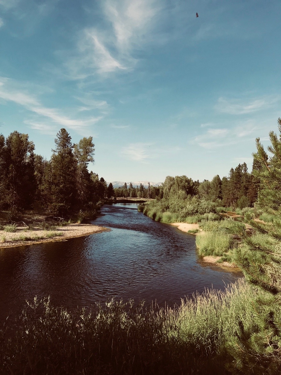 Life in Short Form — Slow flow Payette River, Idaho Summer