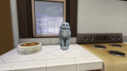 anakel13ts4stuff