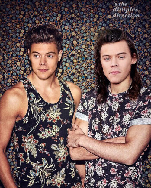 harry twins on Tumblr