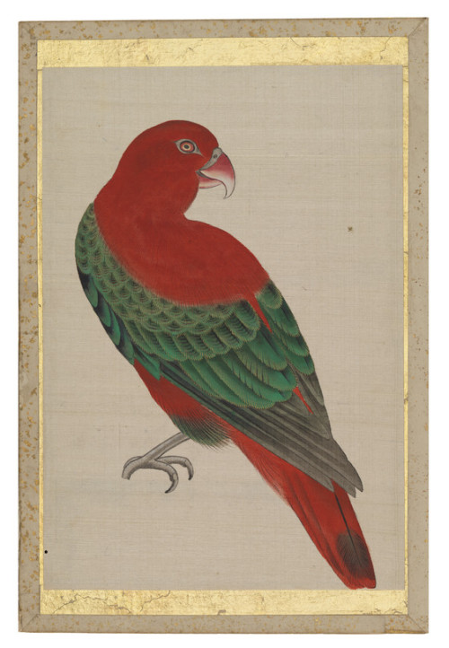 heaveninawildflower:Pictures of birds from an album of silk...