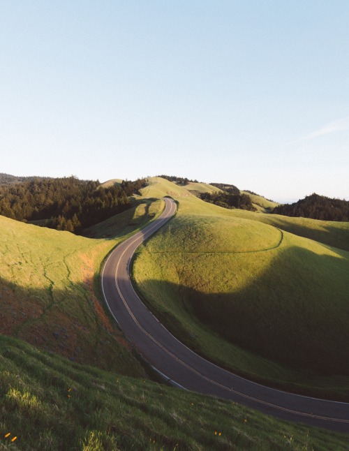 jasonyurgelevic:Mt. Tamalpais, CA