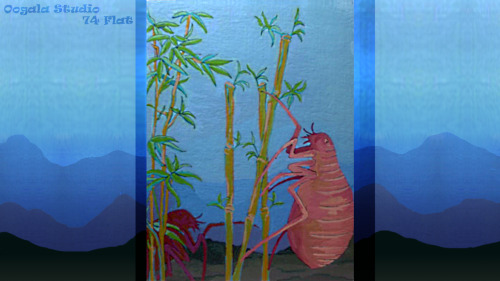 oogala-studio-74flat