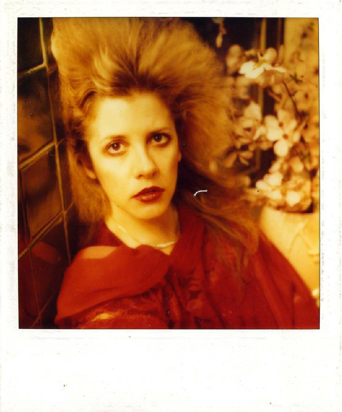 Stevie Nicks Polaroid Self Portraits