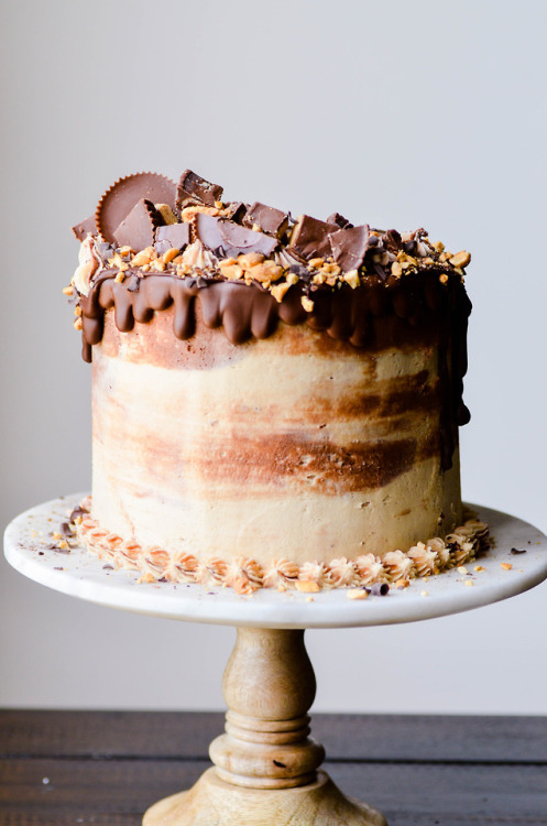 sweetoothgirl:Peanut Butter Cup Cheesecake Cake