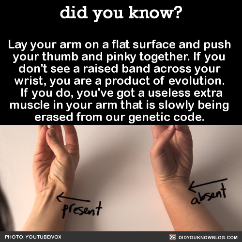 lay-your-arm-on-a-flat-surface-and-push-your-thumb