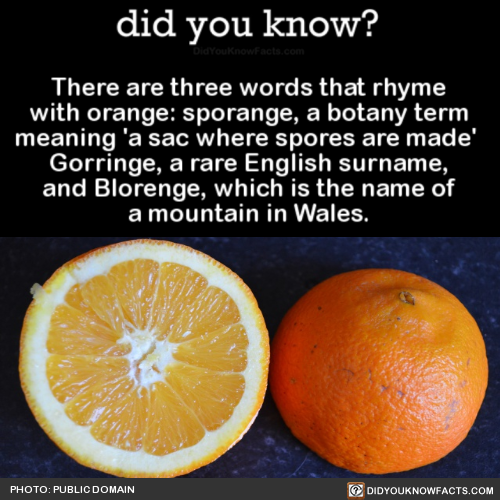 What About That Time Eminem Said He Had An Orange 4 Inch