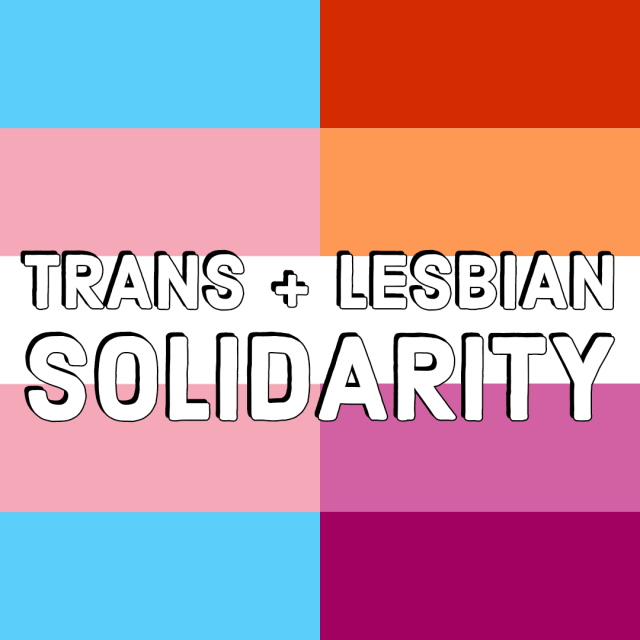Image result for lesbian and trans solidarity