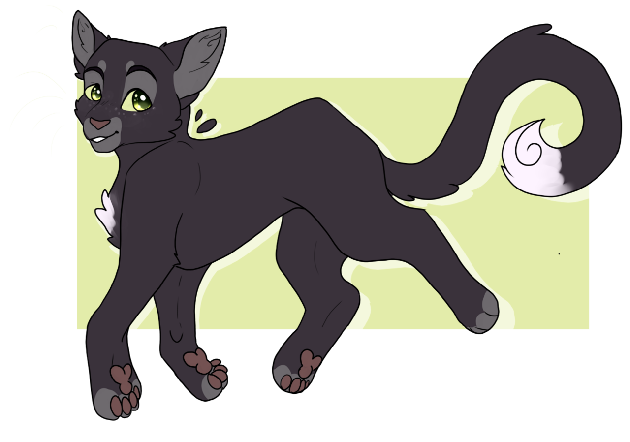 ravenpaw plush