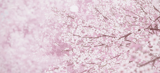 tumblr_omb3zp6EqR1rlssnko1_540.png