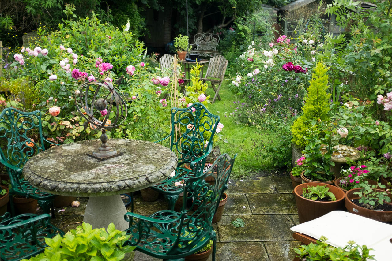 robertmealing: Rainy day in the garden, late... - Gardening- a creative ...