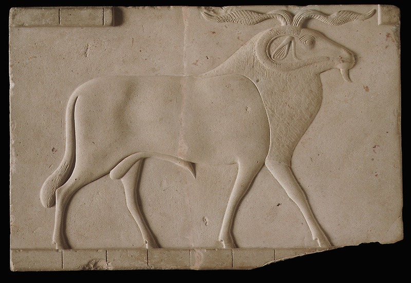 Plaque of a RamStone Relief plaque depicting a Ram, representation of god Amun, or of Banebdjedet, the ram god of Mendes. Ptolemaic Period, ca. 305-30 BC. Now in the Art Institute of Chicago.