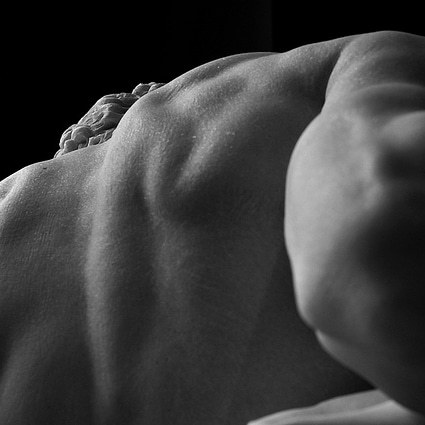 detailedart:Details: The Dying Gladiator, 1799, by Pierre...