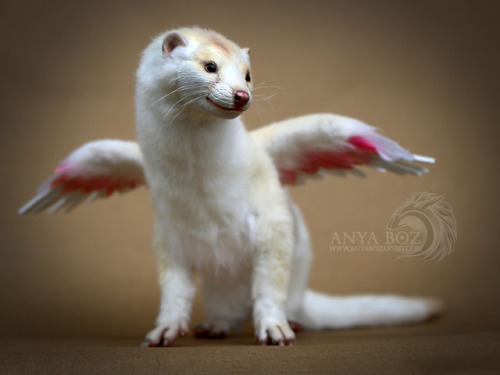 anyaboz:Winged Mink Room GuardianCommission NFSHoly Moly I am...