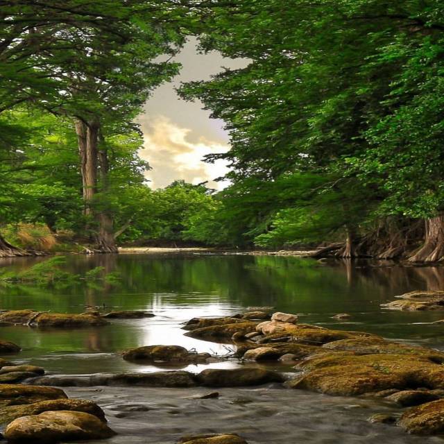 Raxel®™ — #beautiful #forest #pond