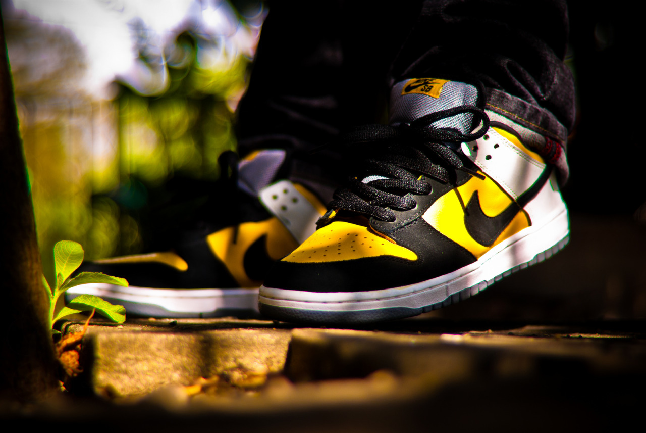 nike sb bic