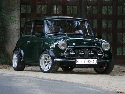 carsonlycars:AUTHI MINI COOPER 1300