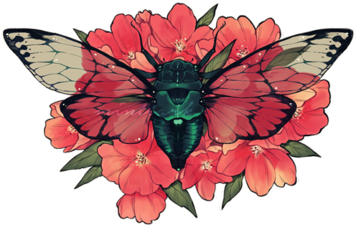 ★ REDBUBBLE STORE ★itsssss bugs !! i havent been on tumblr for...