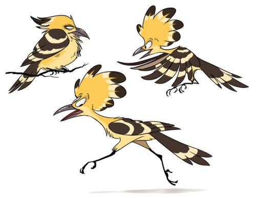 hoopoe on Tumblr