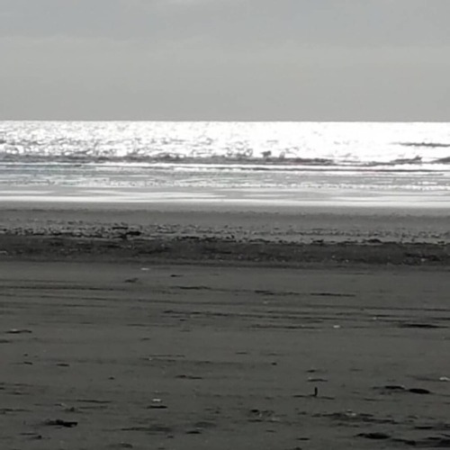 at Ocean Shores, Washington