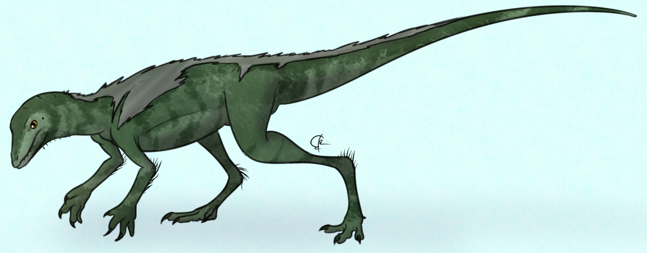 A Dinosaur A Day · Lagosuchus talampayensis