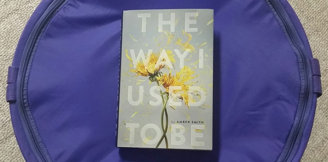 The Way I Used to Be by Amber Smith