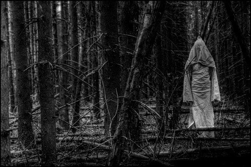 black and white black and white blog black and white photography black and white photo forest forestry woods trees branches creepy scary spooky dark mystical occult ritual darkness morbid macabre white black horror