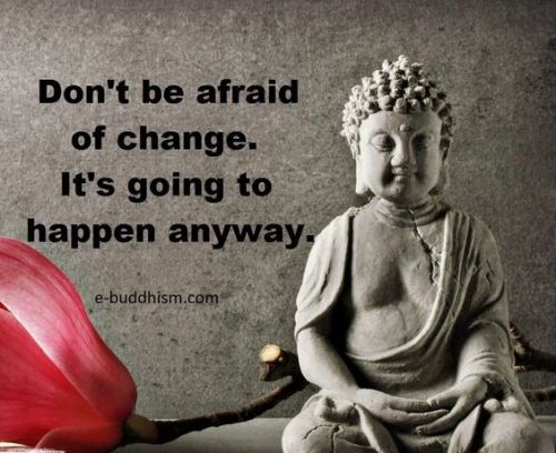 zengardenamaozn:Buddha quotes.