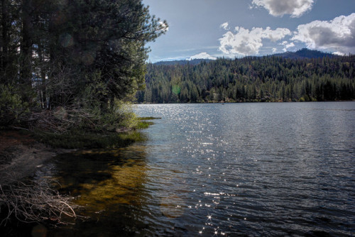 philotheoristic:Light Dancing on the Water…Hume Lake, Sequoia...