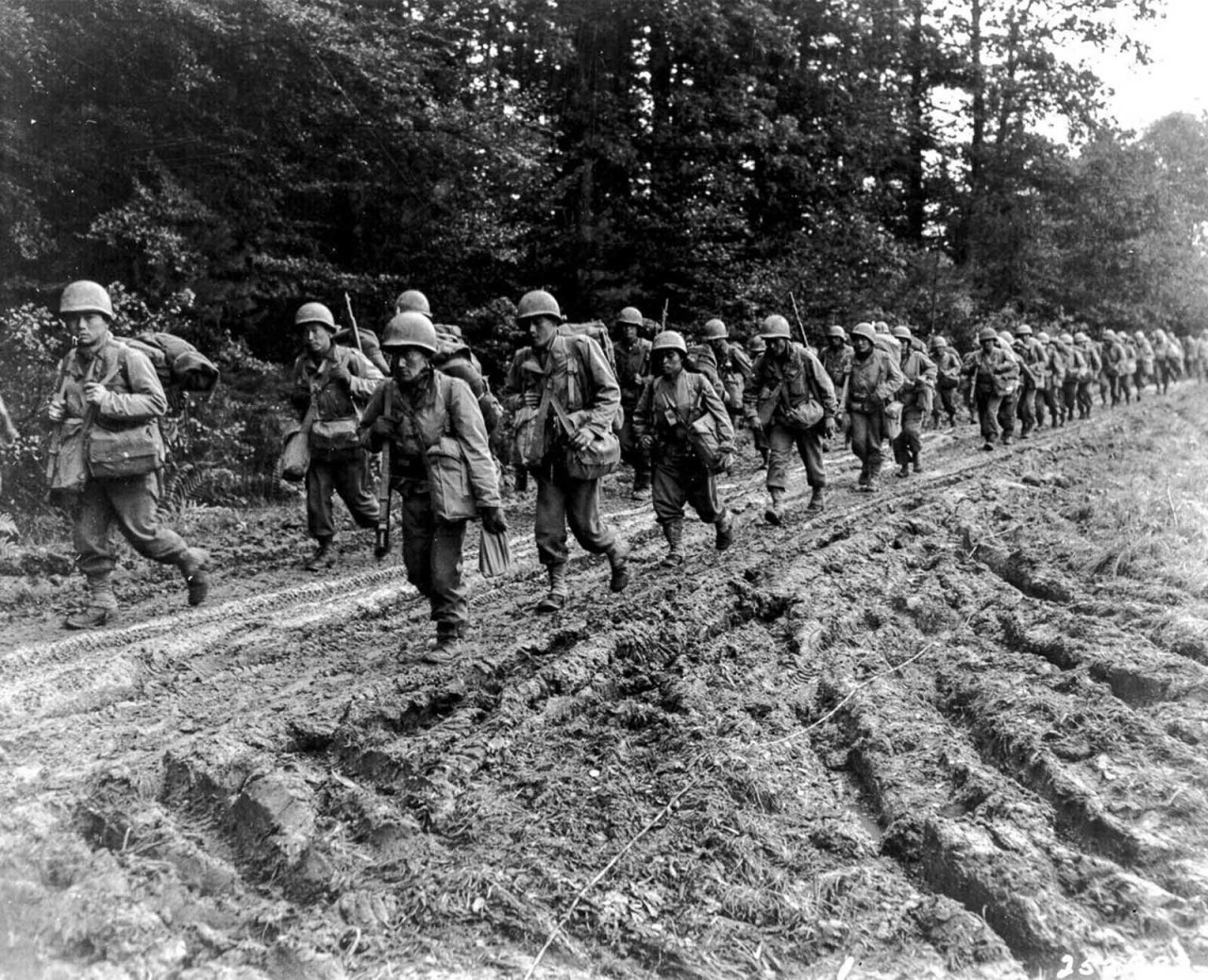 Historical Nonfiction | Meet The 442nd Infantry Regimental Combat Team ...