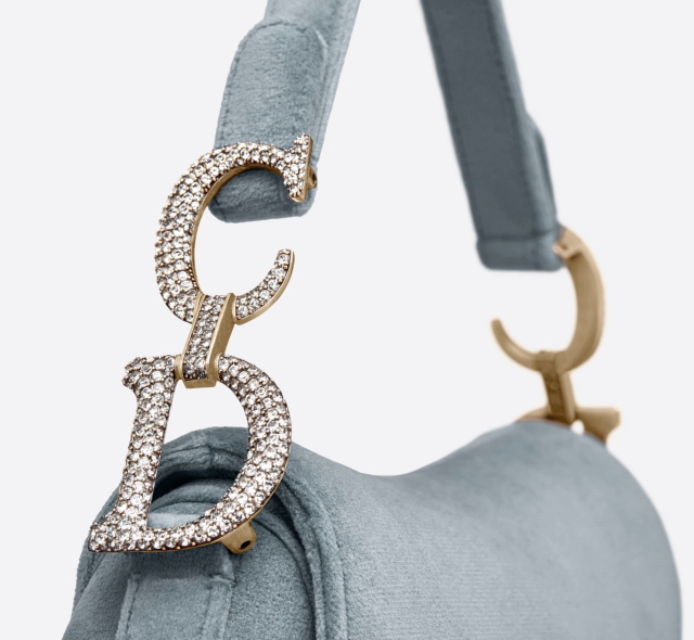 love on the brain — Mini Dior Saddle bag, yes its velvet with...