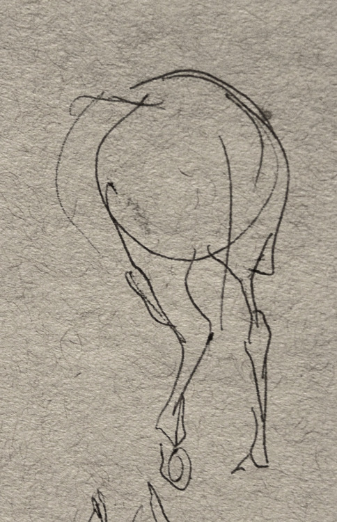 klang-art:It’s really hard drawing horses from life. They move...