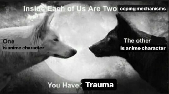 two wolves meme on Tumblr