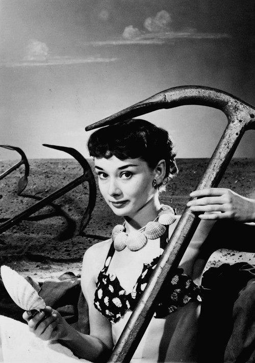 audrey hepburn angus mcbean rare audrey hepburn audrey hepburn photographed by angus audrey hepburn angus mcbean rare audrey hepburn audrey hepburn photographed by angus