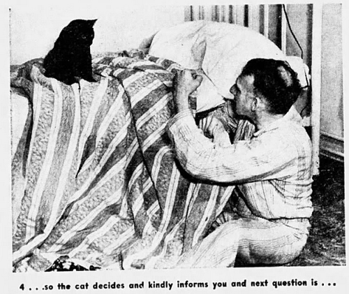 yesterdaysprint:The Miami News, Florida, August 5, 1951