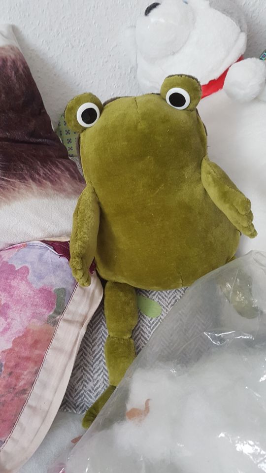 jason funderburker frog plush