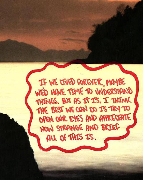 haleyincarnate:Quote from the video game What Remains of Edith...