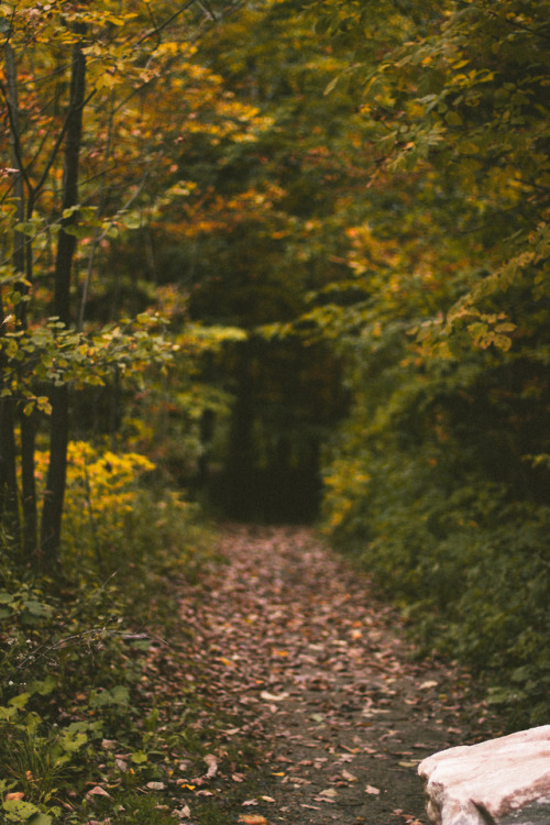 rabbitinthemeadow:“…a road for the pilgrim to enter upon, who...