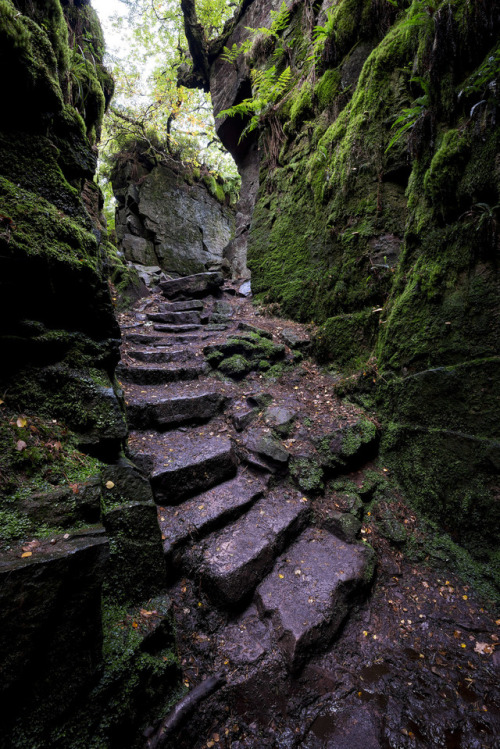 90377:Luds Church, Gradbach, Staffordshire by Andrew Kearton...