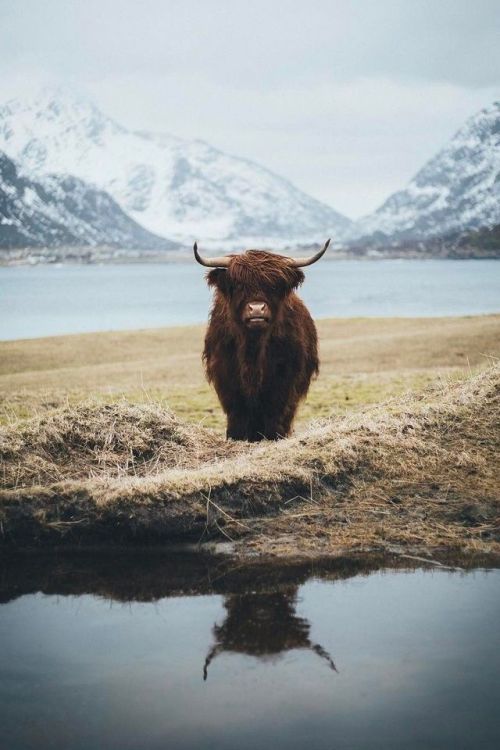 folklifestyle:Just Pinned to *Landscapes: This bish...