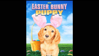 An Easter Bunny Puppy DVD cover