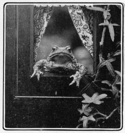 @but Dennis i cant be ugly.. im a hopeless romantic | 18thcenturyfrog