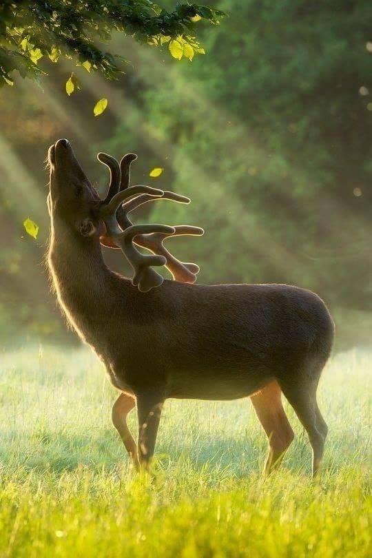 tumblr_pg06s9zHCa1rb8uu3_540.jpg