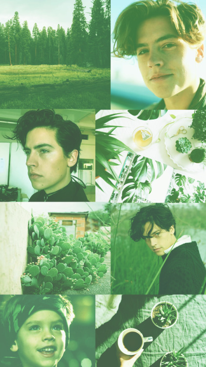 amani-maouia:Cole Sprouse LockscreensPlease Reblog or like if...